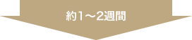 約1〜2週間